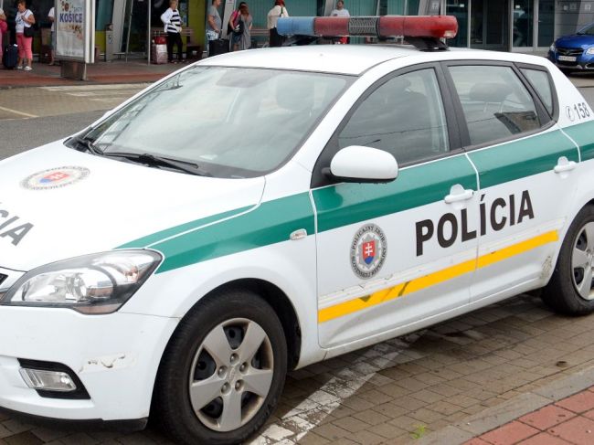 Polícia hľadá pytliaka, ktorý zastrelil medvieďa