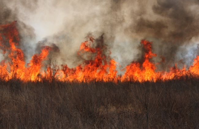 Hasiči vyhlásili čas zvýšeného nebezpečenstva vzniku požiarov v Bratislave