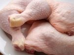 V predajni hydiny našli kuracie mäso so salmonelou
