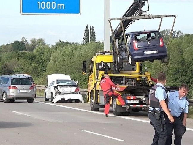 Labuť sa prechádzala po diaľnici, spôsobila hromadnú nehodu