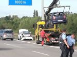 Labuť sa prechádzala po diaľnici, spôsobila hromadnú nehodu