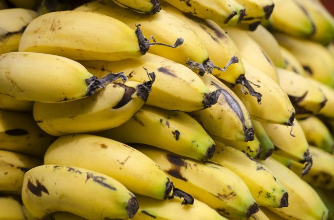 Choroba banánov: Toto je dôvod, prečo možno zmiznú z regálov