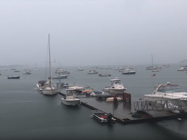 Video: Muž natáčal prístav počas búrky. Takýto šok však nečakal