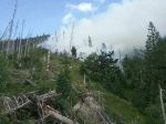 Po vyše 77 hodinách sa hasičom podarilo zlikvidovať veľký lesný požiar