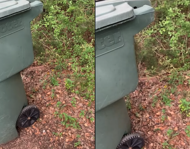 Video: Muž chcel vyhodiť smeti, za kontajnerom ho však čakala táto hrôza
