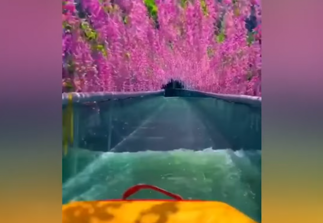 Video: Táto vodná šmýkačka je ako zo sna