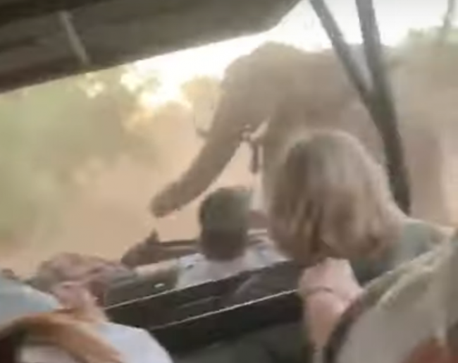 Video: Turisti zažili desivé safari. Po tomto museli hodiť spiatočku