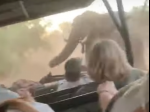 Video: Turisti zažili desivé safari. Po tomto museli hodiť spiatočku
