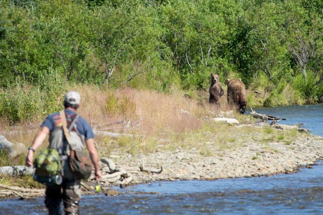 Stret s medveďom: Čo v skutočnosti znamená, keď sa medveď postaví na zadné nohy