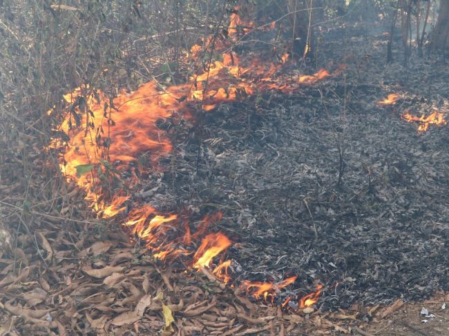 Pri Šibeniku vypukli dva lesné požiare, uzavreli časť diaľnice