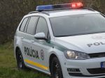 Polícia preveruje pravdivosť výpovede vodiča auta, ktoré za sebou ťahalo psa