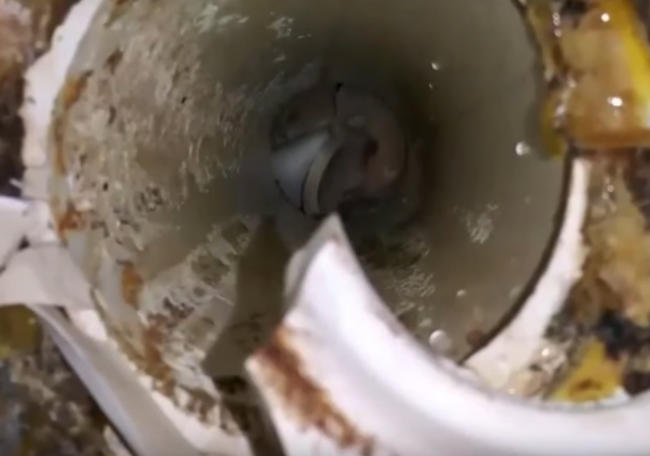 Video: Blesk vyhodil do vzduchu záchod v rodinnom dome