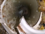 Video: Blesk vyhodil do vzduchu záchod v rodinnom dome