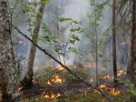 Na Sibíri je stále aktívnych 70 lesných požiarov