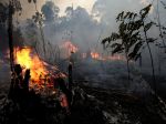 Dážď neuhasí požiare v amazonskom pralese celé týždne, tvrdia experti