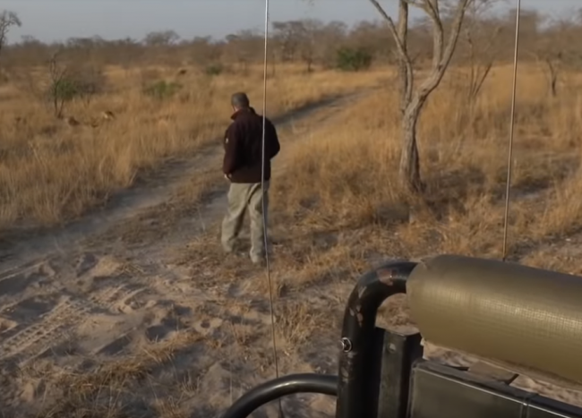 Video: Muž vystúpil z auta, aby si obzrel vysokú trávu. Toto v nej však nečakal