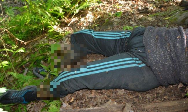 FOTO: V lese našli mŕtveho muža. Nepoznáte ho?