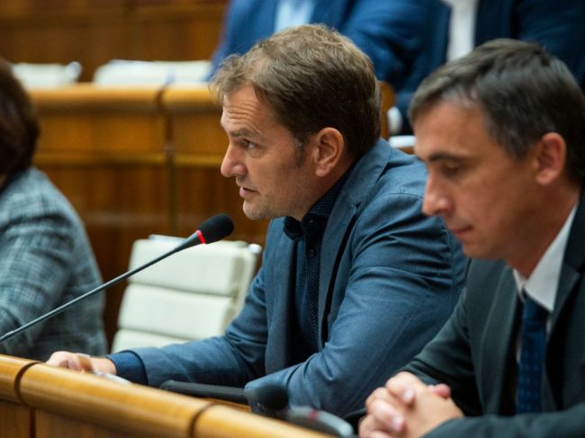 OĽaNO chce zaviesť tehotenský príspevok