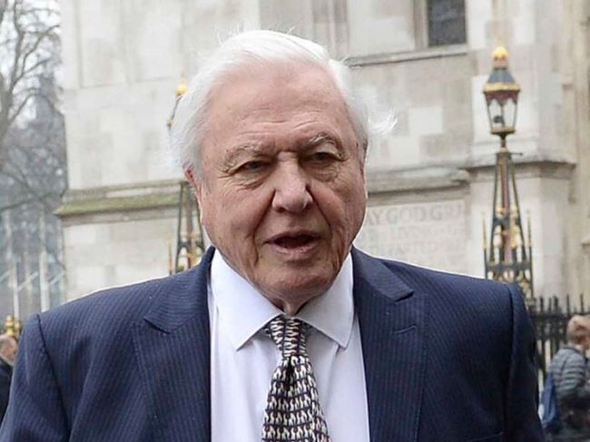 David Attenborough kritizoval klimatickú politiku Austrálie