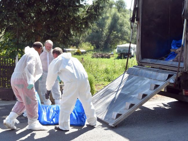 Africký mor ošípaných zistili už aj v okrese Michalovce