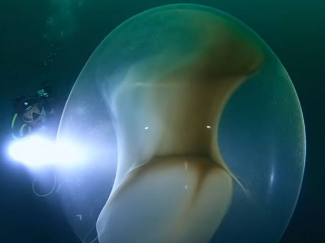 Video: Potápači v mori objavili tento zvláštny objekt