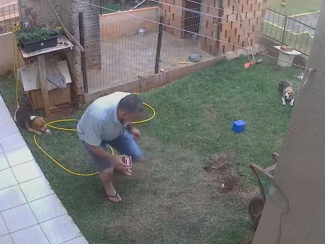 Video: Muž sa snažil vyhubiť šváby zápalkami, vyhodil pri tom do vzduchu celý dvor