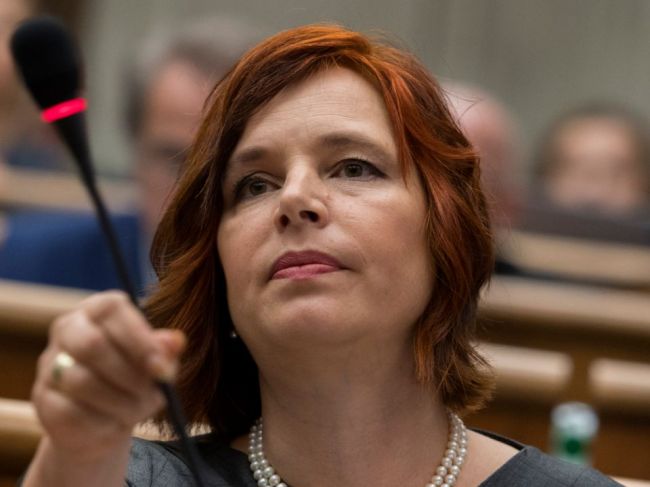 Rušenie rodných čísel je nezmyselné a nákladné, tvrdí poslankyňa Remišová