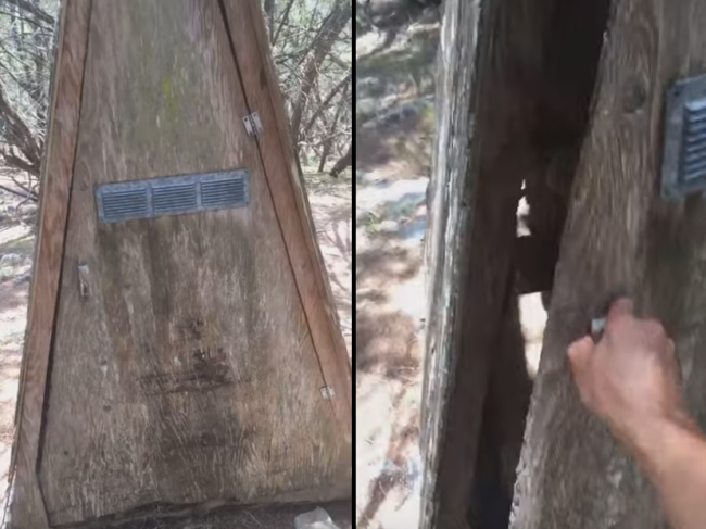 Video: Muž otvoril latrínu ako z hororu, čakala tam naňho nevítaná návšteva