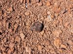 Vedci pri skúmaní meteoritov objavili životne dôležité cukry