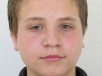 Michal si bol zabehať popri brehu Dunaja, odvtedy je nezvestný