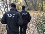 Polícia vykonáva pátraciu akciu po nezvestnom mužovi