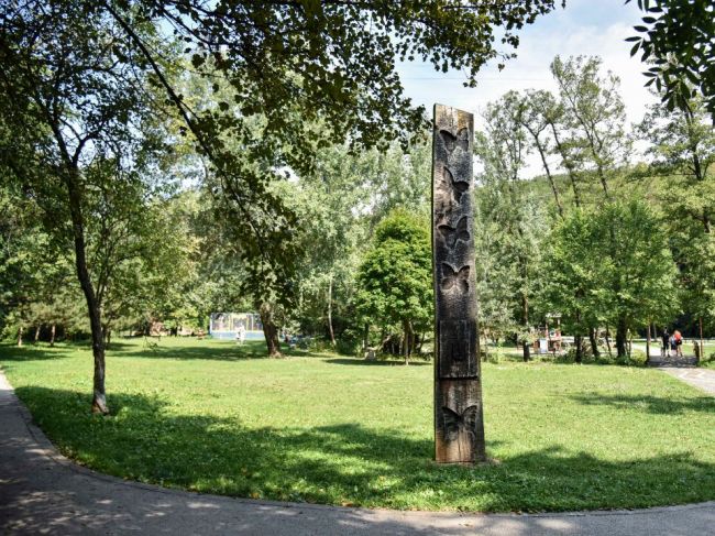 Na Partizánskej lúke a Kamzíku vyrúbu 26 stromov, vysadia však nové