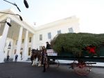 Melania Trumpová prevzala vianočný stromček pre Biely dom