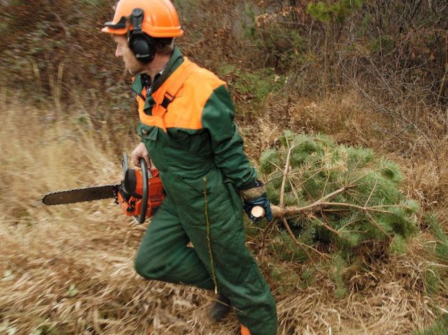 Úmrtie lesného robotníka vyšetruje inšpektorát práce