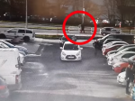 Video: Pol miliónová krádež pri výmene defektu, polícia hľadá zlodeja