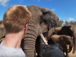 Video: Fotograf zažil niečo neuveriteľné. Takto naňho zareagovalo stádo slonov