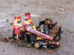 Zábavná pyrotechnika každoročne zraní a usmrtí množstvo zvierat