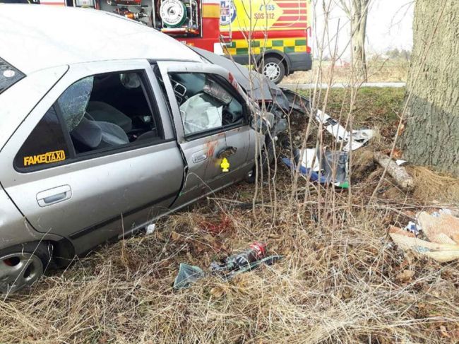 Pri dopravnej nehode v okrese Nitra vyhasol život 16-ročného chlapca