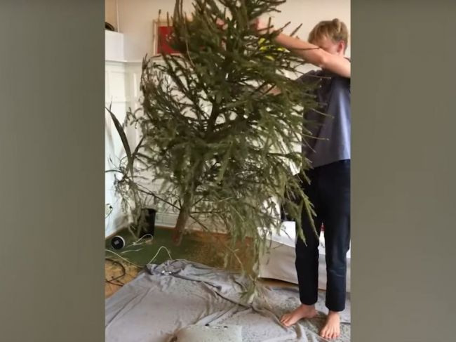 Video: Ešte ste sa nezbavili vianočného stromčeka? Tento rýchly trik vám pomôže