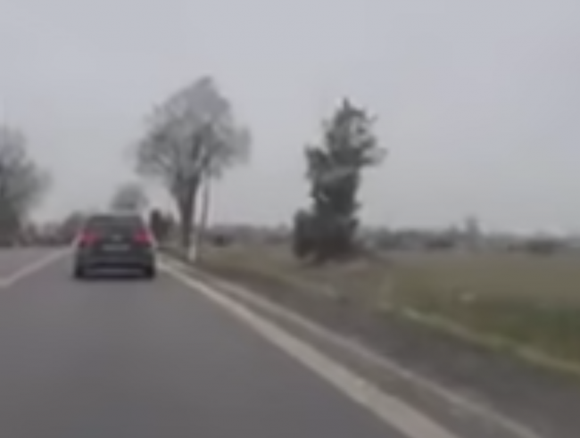 Video: Vodiči zachytili neuveriteľnú scénu. Pred "cestou smrti" varujú lesníci aj polícia