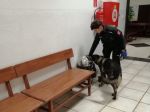 Mladík nahlásil v deň svojho pojednávania bombu na súde