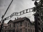 Riaditeľ múzea Auschwitz-Birkenau kritizoval ľahostajnosť sveta