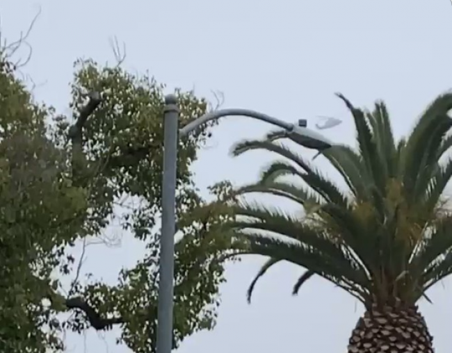 Video: Svedok zachytil helikoptéru Kobeho Bryanta. Toto robil pilot pred zrútením