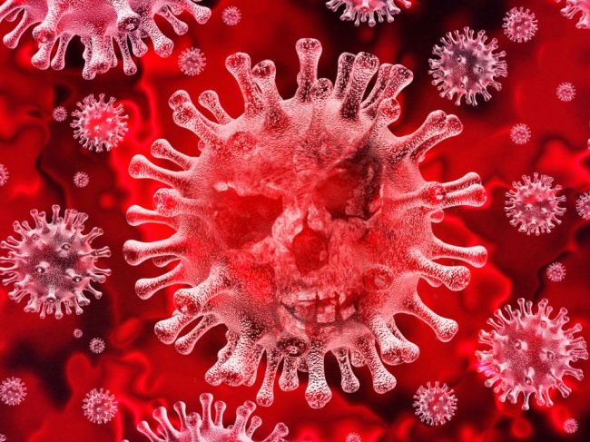 Nebezpečné a bizarné konšpirácie o koronavíruse – týmto „faktom“ neverte!