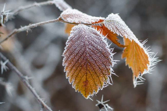 Klimatológ upozorňuje na vývoj počasia. Toto nás čaká najbližšie dni