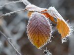 Klimatológ upozorňuje na vývoj počasia. Toto nás čaká najbližšie dni