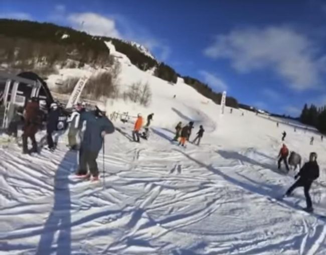 Video: Na lyžiarskom svahu sa premávala divá zver, lyžiari neverili vlastným očiam