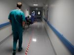 Talianski vedci začnú s testovaním vakcíny proti COVID-19, zatiaľ na zvieratách