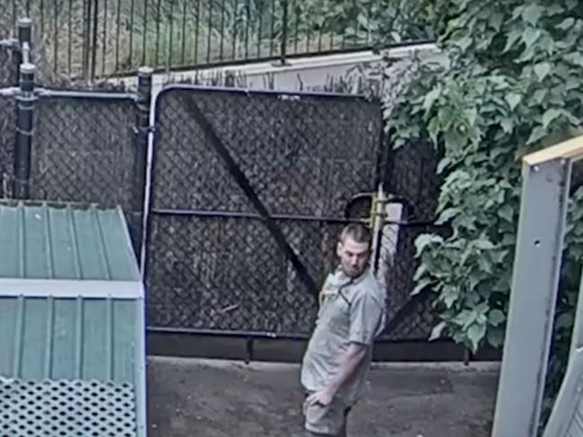 Video: Kamera snímala žirafy v zoo. Zachytila však, čo robí tento ošetrovateľ 