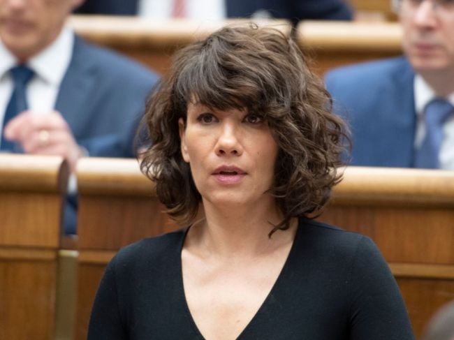 Nicholsonová a Jurzyca žiadajú EÚ, aby v čase koronakrízy zmenila prístup k GDPR